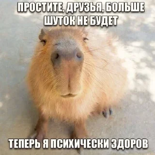 🤣