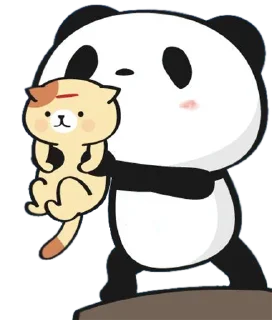 Little panda @Weempire @keiriststicks