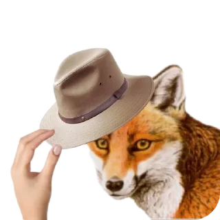 🎩
