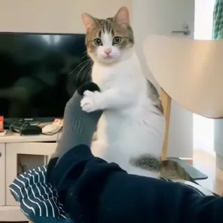 😊