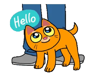 👋