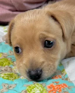 🙁