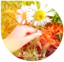🌼