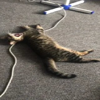 😩