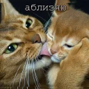 👅