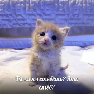 🤨