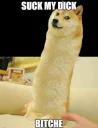 🍆