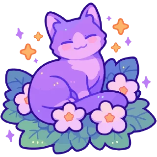 🐱