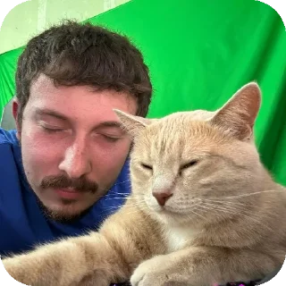 🐱