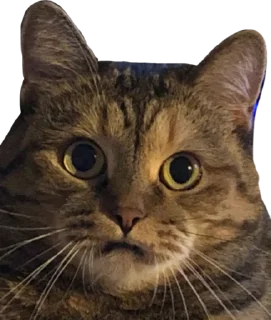 😧