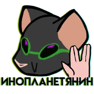 🐀