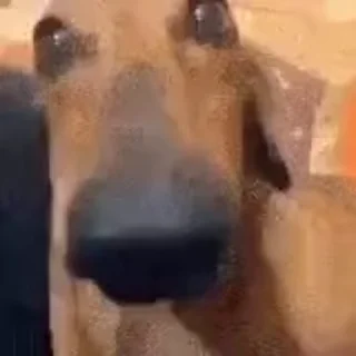 😦