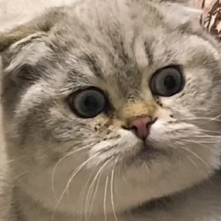 😳