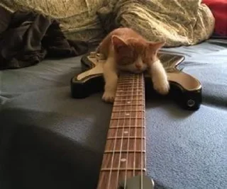 🎸