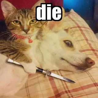 😂