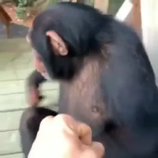 👊