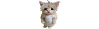 🐈