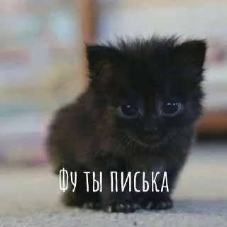 😭
