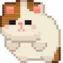 🐈