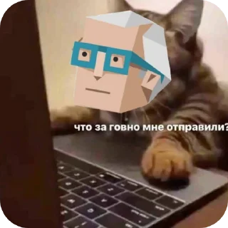 👎