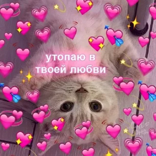 💞