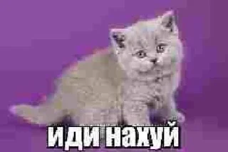 ☺️