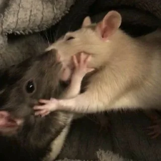 ❤️