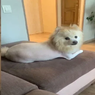 🤨