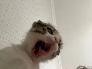 😰