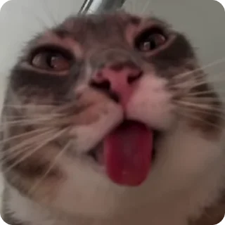 👹