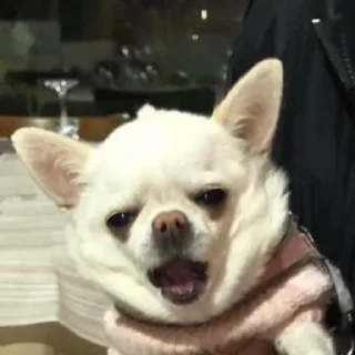 😯