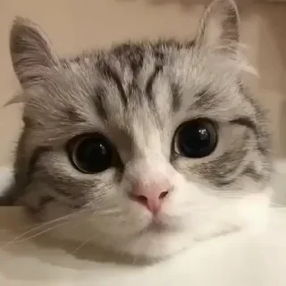 👀