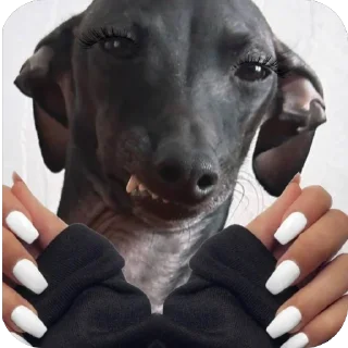 💅