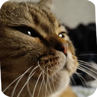 😁
