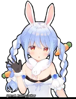 🐰