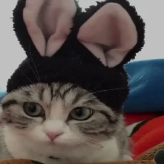🧐