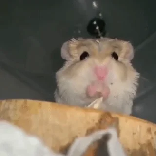 🙂