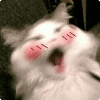 ☺️