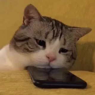 😔