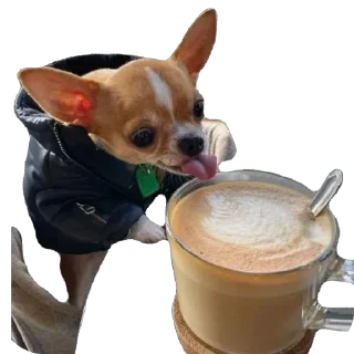 ☕️