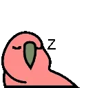 🦜