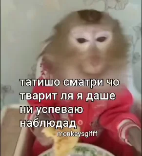 🌟