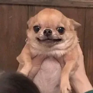 🫣