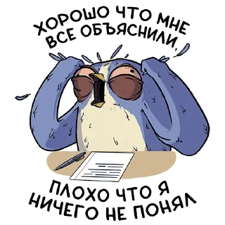 🙈