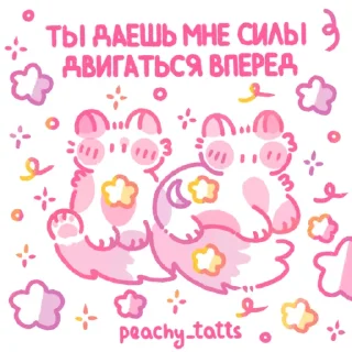 🐈