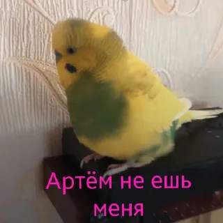 🥶