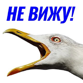 ❗️