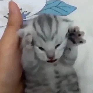 😖