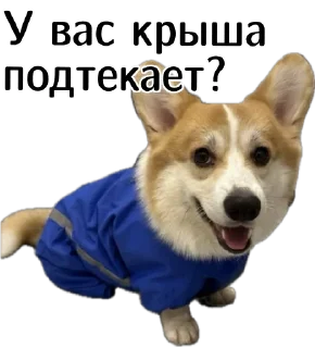 😅