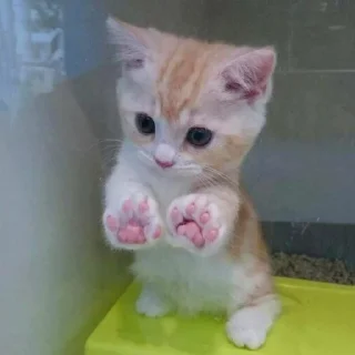 😍